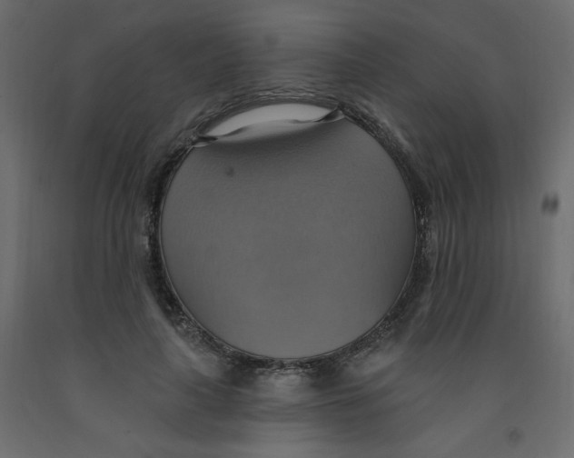 X0000092110643200710101144