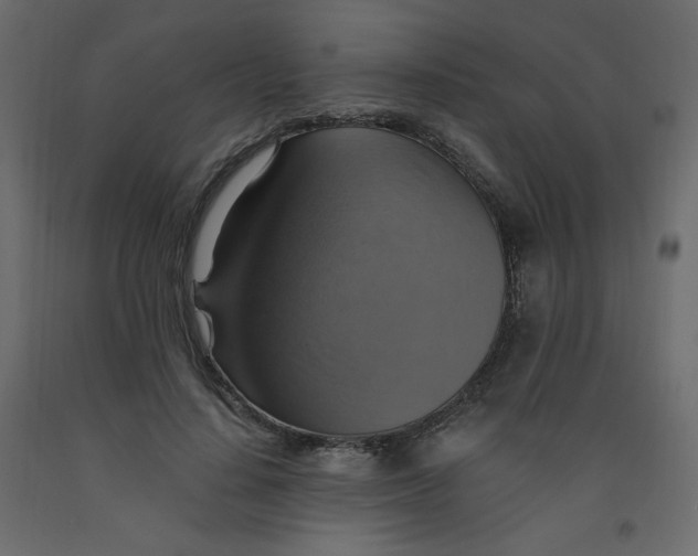 X0000092110644200710101144