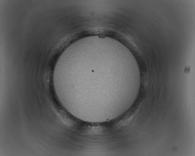X0000092110645200710101144