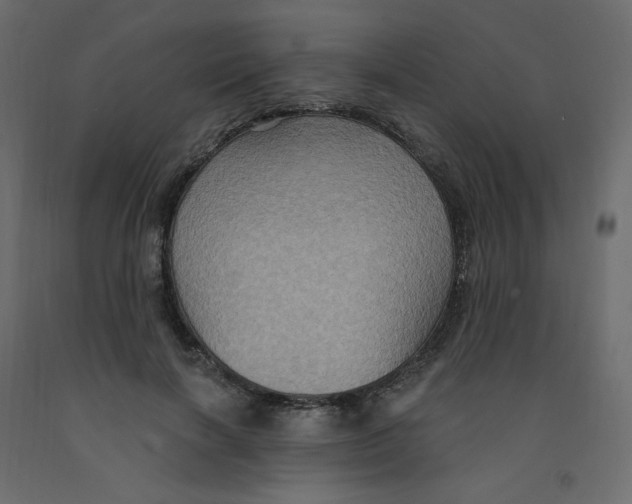 X0000092110646200710101144