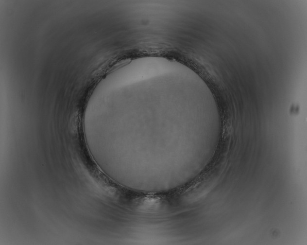 X0000092110647200710101144