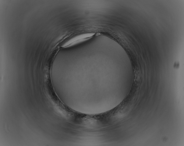 X0000092110648200710101144