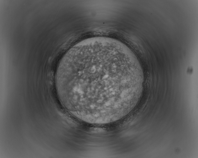 X0000092110649200710101144