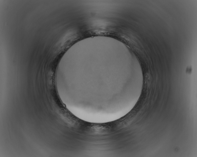 X0000092110650200710101144