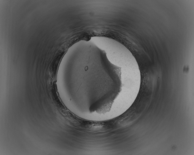 X0000092110651200710101144