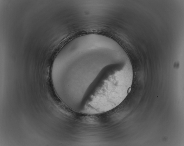 X0000092110652200710101144