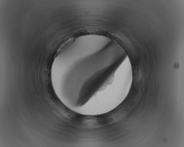 X0000092110653200710101144