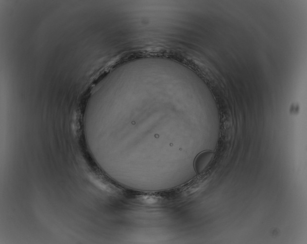X0000092110654200710101144