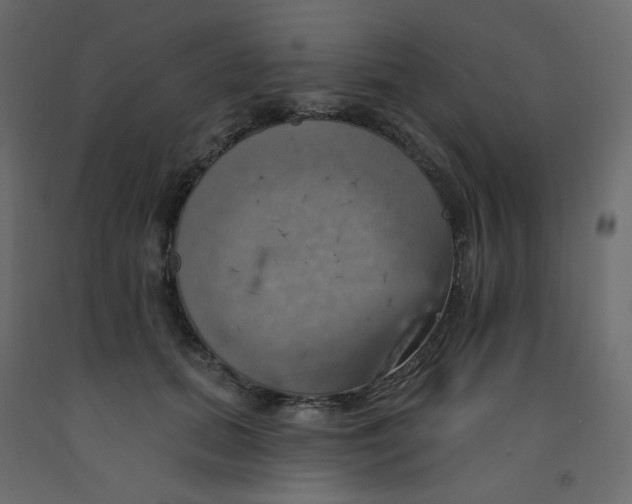 X0000092110655200710101144