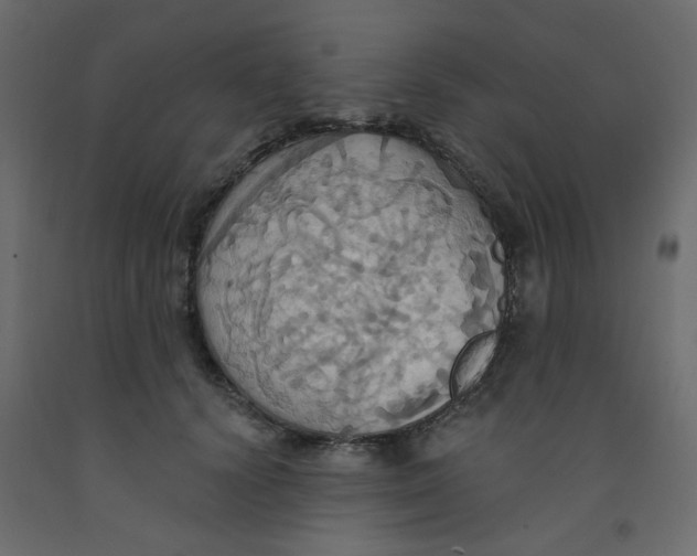 X0000092110656200710101144