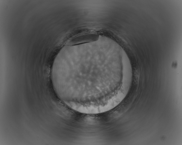 X0000092110657200710101144
