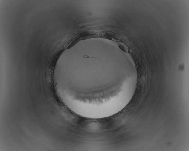 X0000092110658200710101144