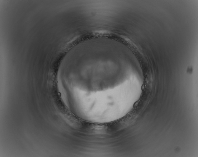 X0000092110659200710101144