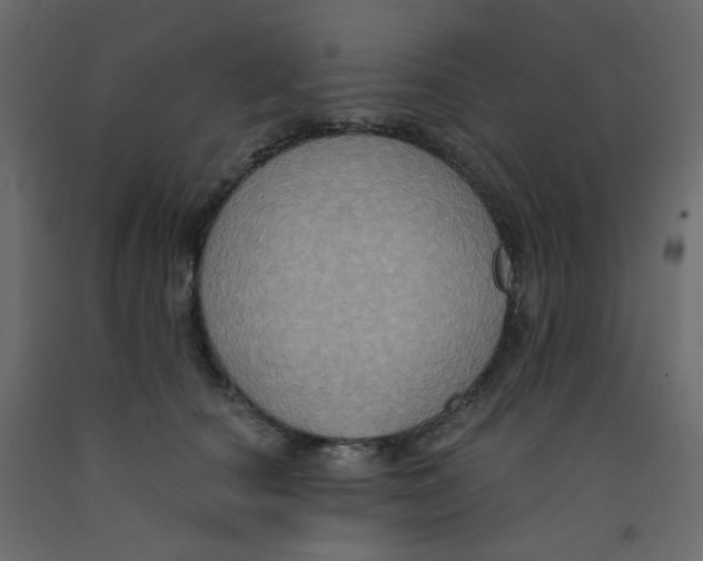 X0000092110660200710101144
