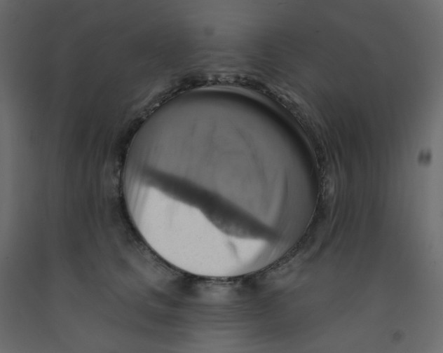 X0000092110661200710101144