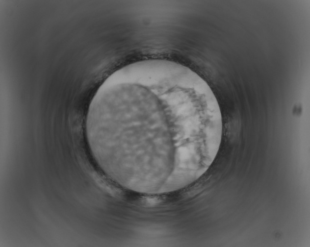 X0000092110662200710101144