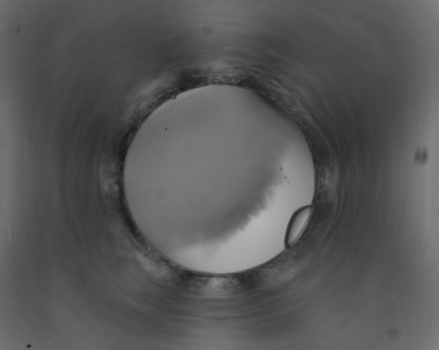 X0000092110663200710101144