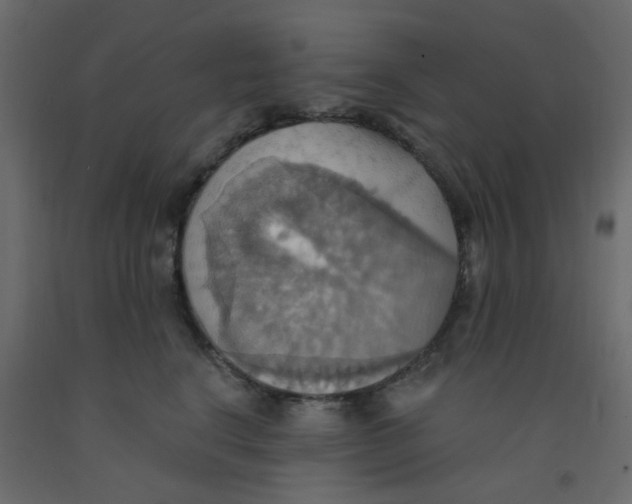 X0000092110664200710101144
