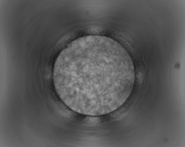 X0000092110665200710101144