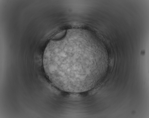 X0000092110666200710101144