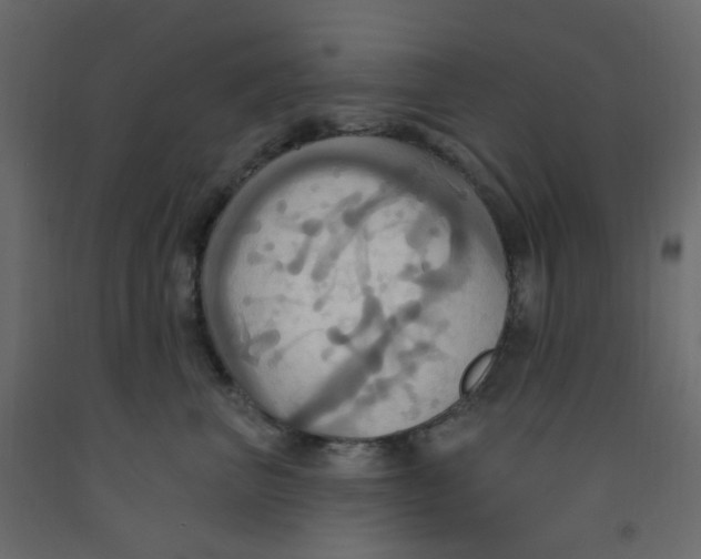 X0000092110667200710101144