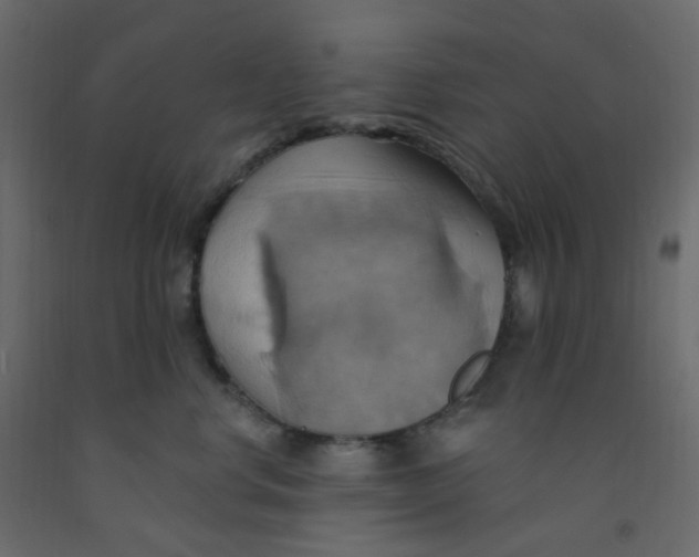 X0000092110668200710101144
