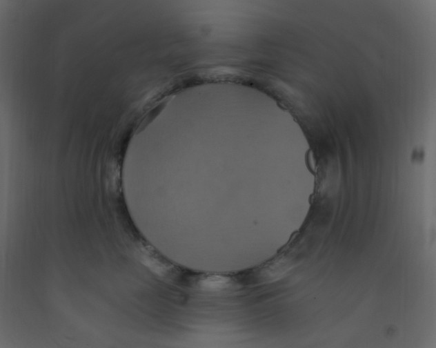X0000092110669200710101144