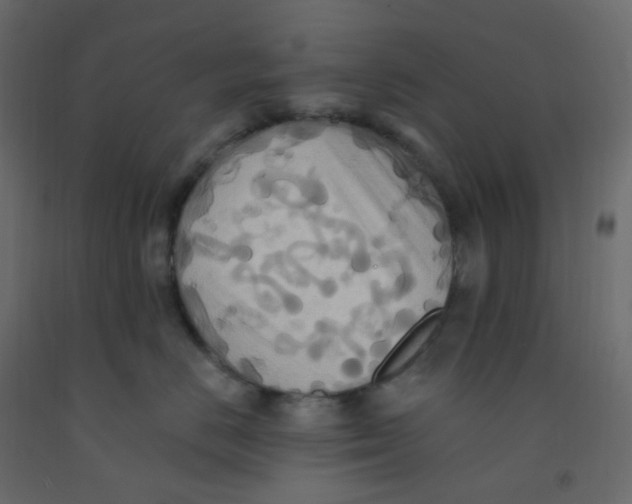 X0000092110670200710101144