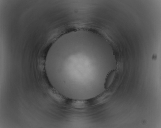 X0000092110671200710101144