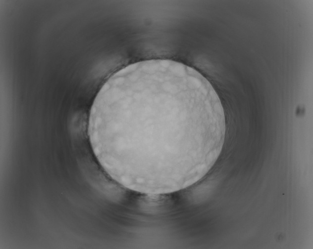 X0000092110672200710101144
