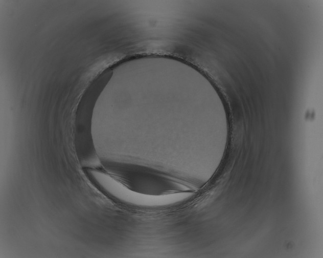 X0000092110673200710101144