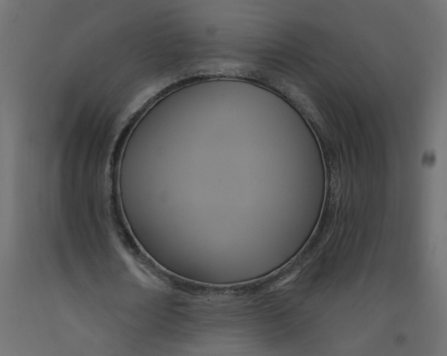 X0000092110674200710101144