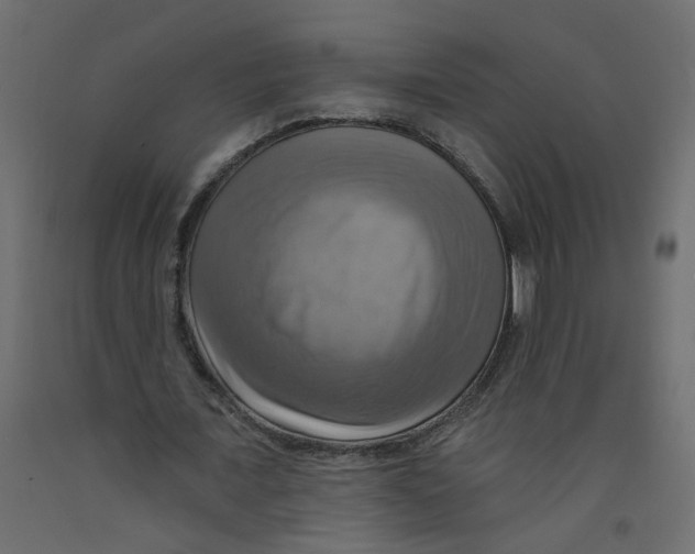X0000092110675200710101144