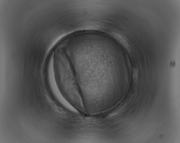 X0000092110676200710101144