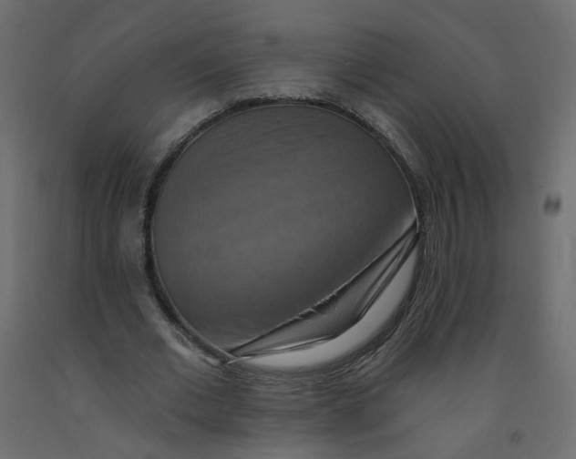 X0000092110677200710101144