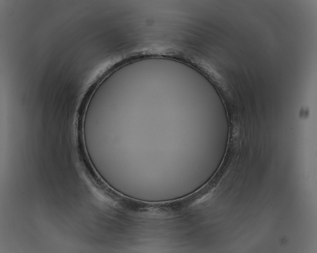 X0000092110678200710101144
