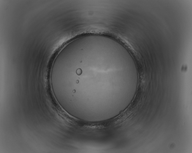 X0000092110679200710101144