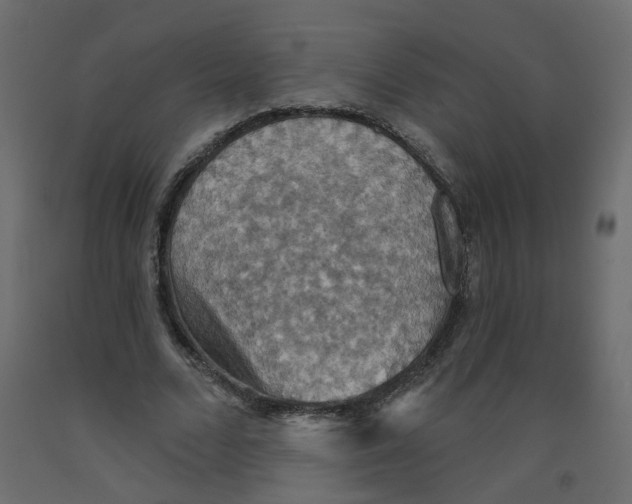X0000092110680200710101144