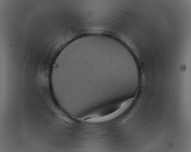 X0000092110681200710101144