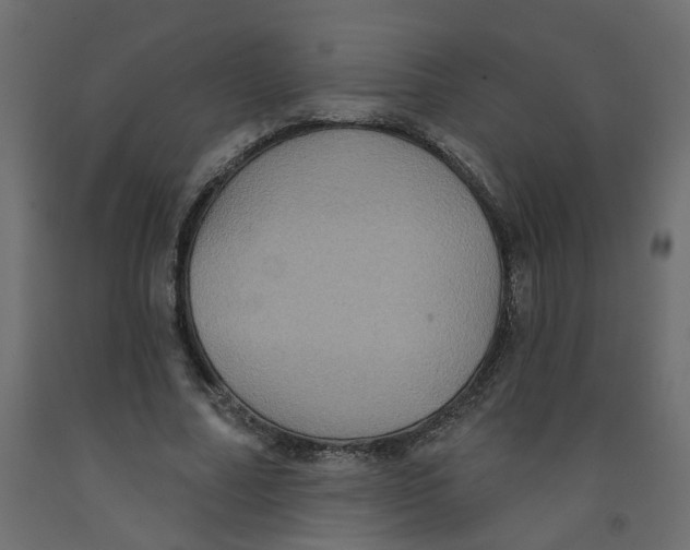 X0000092110682200710101144