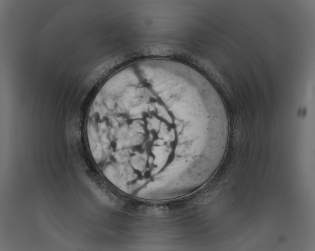 X0000092110683200710101144