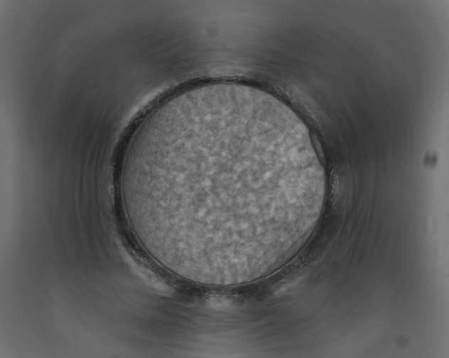 X0000092110684200710101144