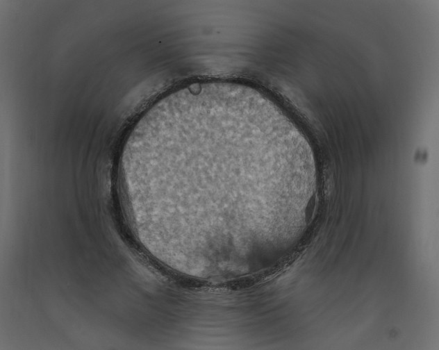 X0000092110685200710101144