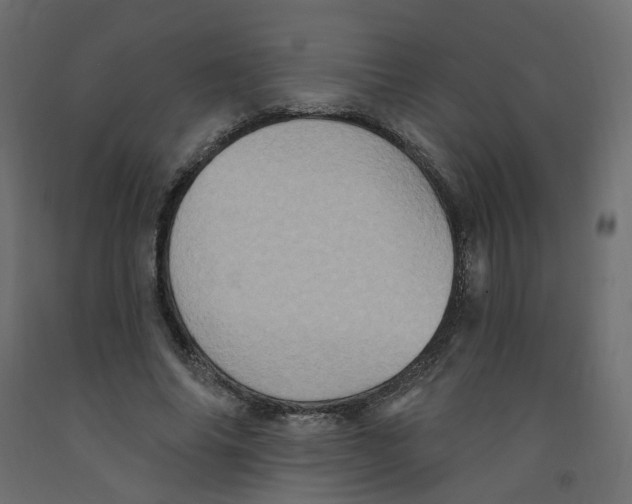 X0000092110686200710101144