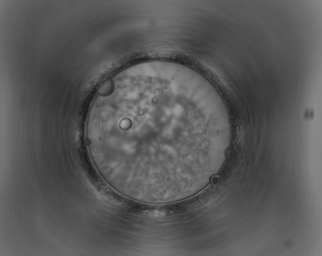X0000092110687200710101144