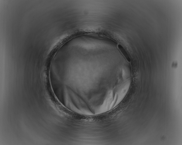 X0000092110688200710101144