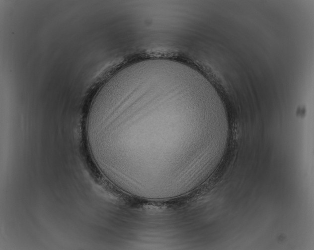 X0000092110690200710101144