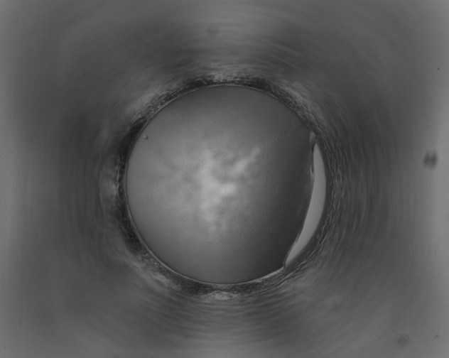 X0000092110691200710101143