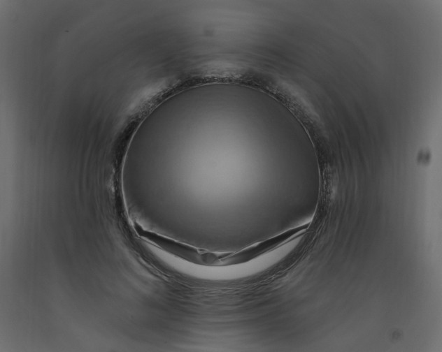 X0000092110692200710101143