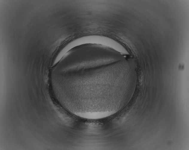 X0000092110693200710101143
